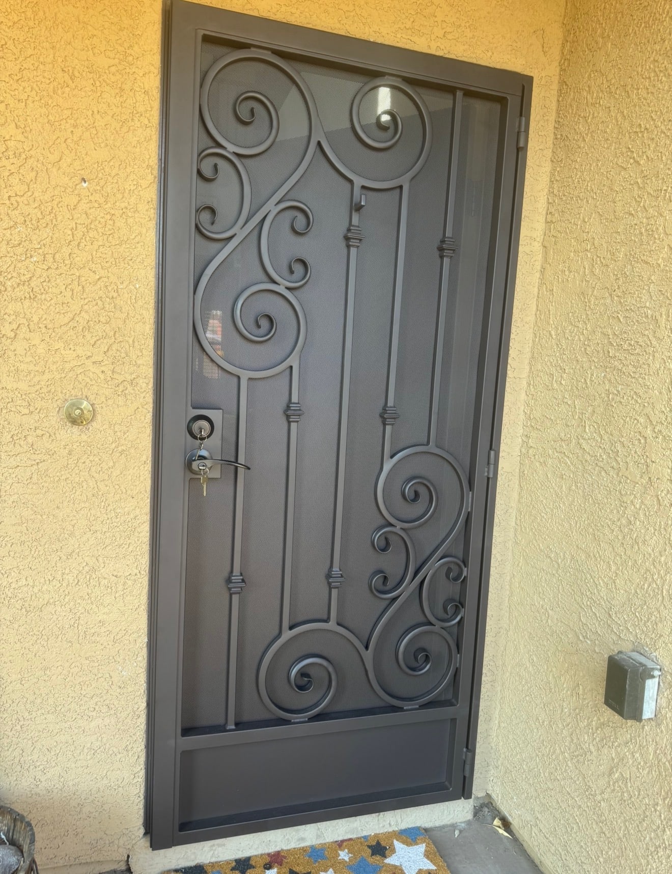 Security door